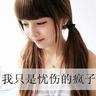 宠物美容知识内容总结